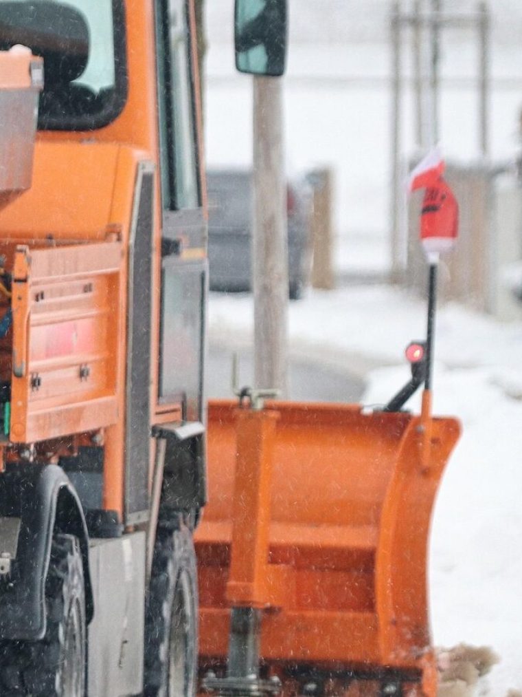 planet_fox-snow-plough-5895336_1920